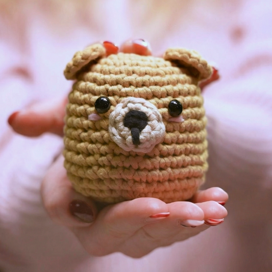 Martin l'Ours Brun Kit Crochet